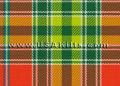 'D' Tartans